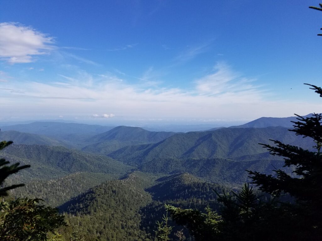 Mountain Office