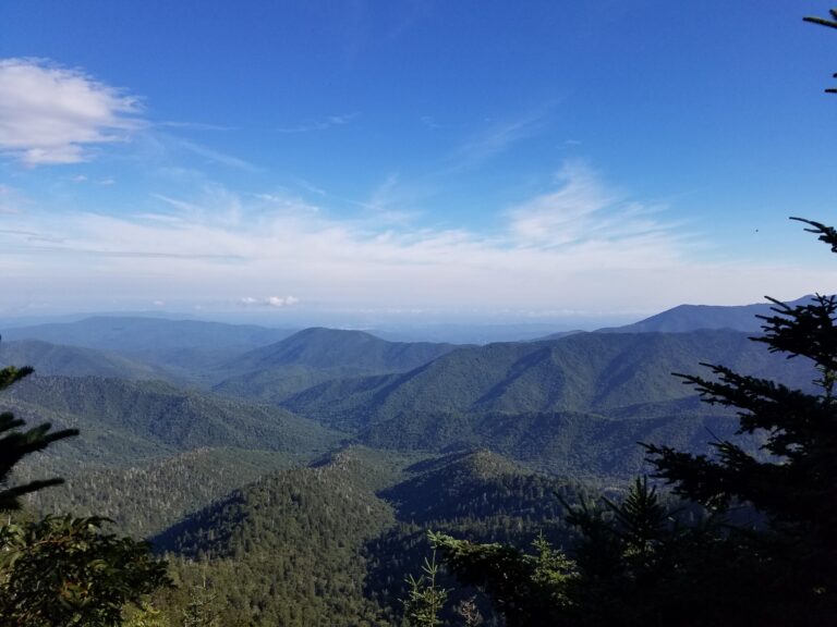 Mountain Office